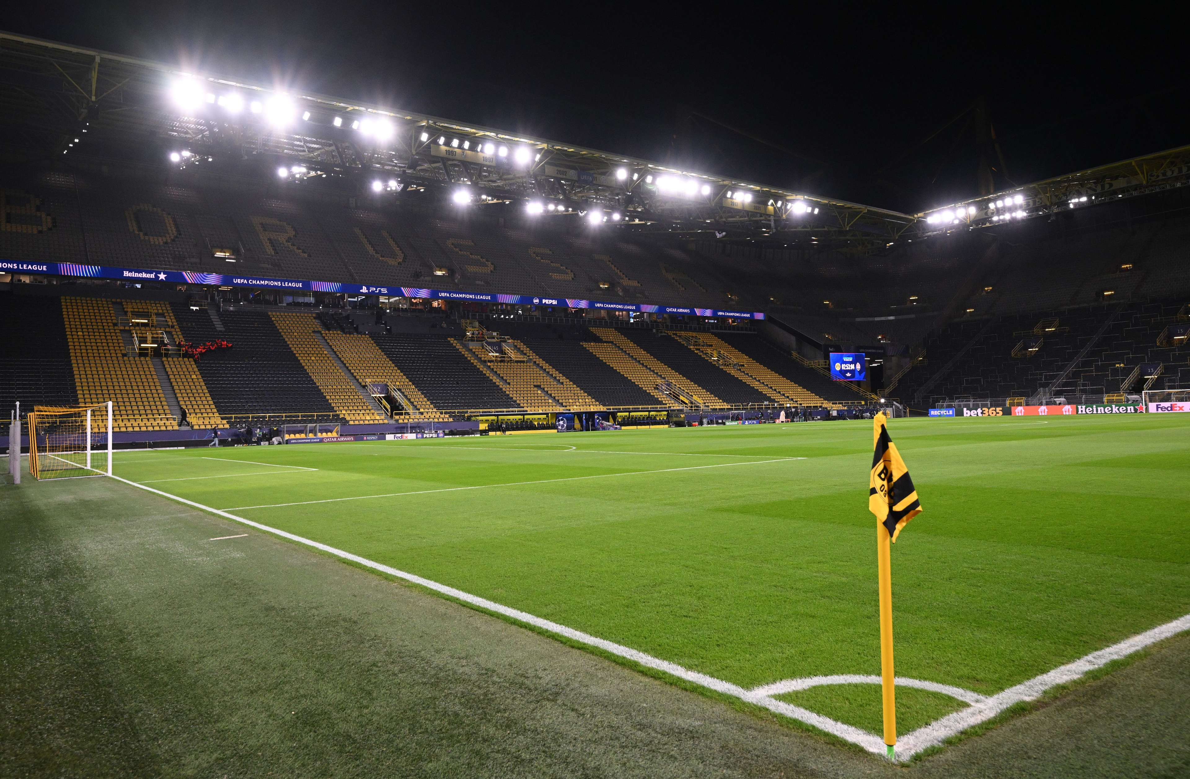 融入新的比 融入新的比