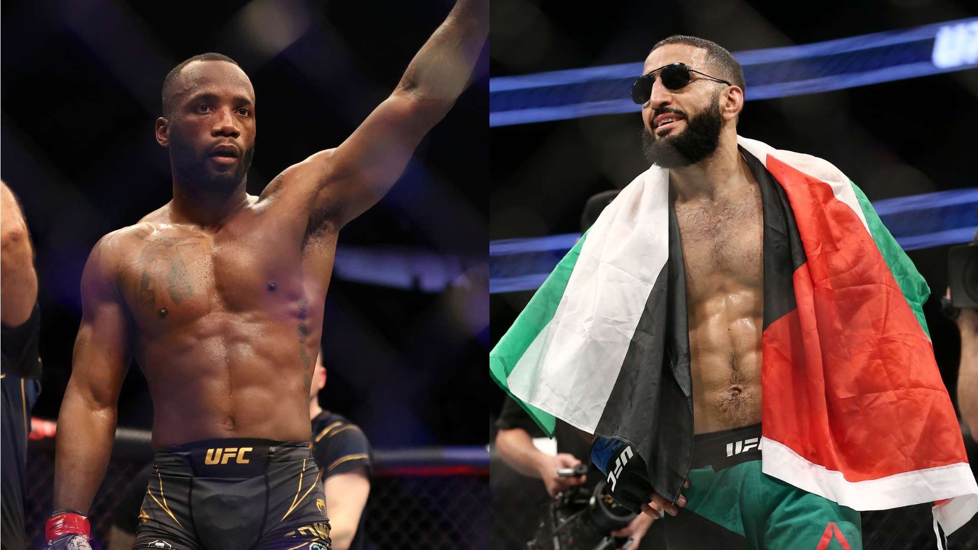 上看到女排 上看到女排