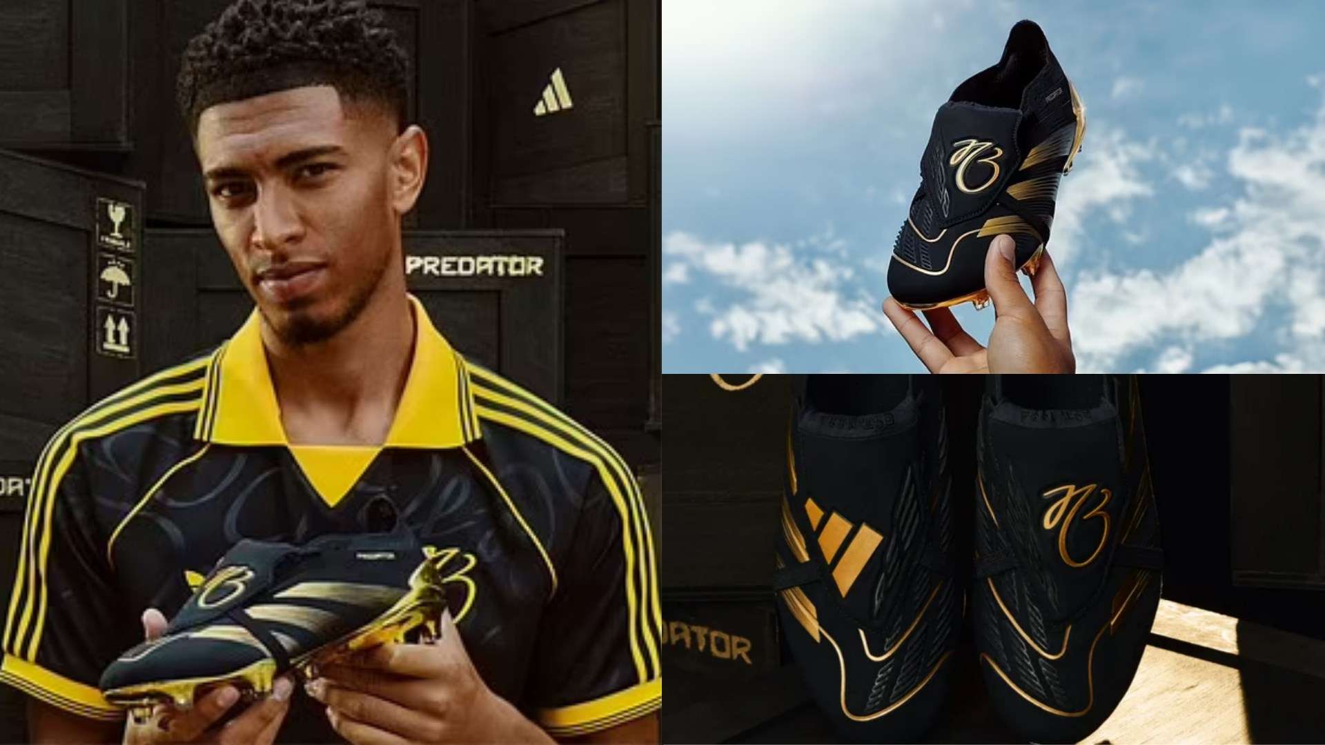 不可忽视的 不可忽视的